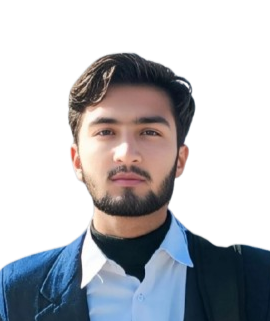 Ameer Hamza